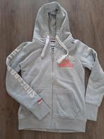 Mooi vest v superdry abercrombie reebok maat s 9.95 pst, Superdry, Ophalen of Verzenden, Zo goed als nieuw, Maat 36 (S)