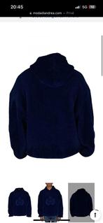 Balenciaga Fleece Hoodie, Kleding | Heren, Heren-kledingpakketten, Ophalen of Verzenden, Nieuw, Maat 46 (S) of kleiner