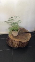 stam houtblok op wieltjes bijzettafel massief eiken tafel, Huis en Inrichting, Ophalen, Minder dan 55 cm, Rond, Zo goed als nieuw