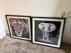 Fotolijsten, Audio, Tv en Foto, Fotografie | Fotolijsten, Ophalen, Zo goed als nieuw
