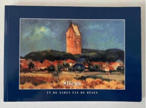 Stiens, ut de naden fan de bûsen, Boeken, Geschiedenis | Stad en Regio, Zo goed als nieuw, 20e eeuw of later, Ophalen of Verzenden