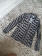 Ambika jasje en broek maat L, Ophalen, Zo goed als nieuw, Maat 38/40 (M)