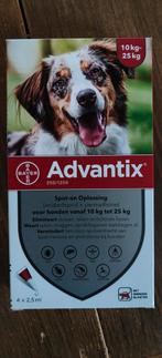 Advantix tegen vlooien en teken, Ophalen of Verzenden