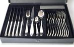 RVS Bestekset 24 delig met koffer, Ophalen of Verzenden, Zo goed als nieuw, Rvs of Chroom, Bestekset