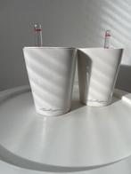 Lechuza deltini mini, Kunststof, Gebruikt, Minder dan 30 cm, Minder dan 60 cm