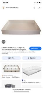 Cavia draadkubus coroplast bak 140x70cm, Dieren en Toebehoren, Ophalen, Zo goed als nieuw, Overige typen