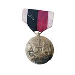 WWII US Occupation Medal Marine Corps, Ophalen of Verzenden, Marine, Amerika, Embleem of Badge