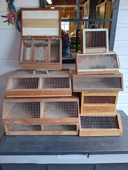 Te koop verschillende verzend kisten, Dieren en Toebehoren, Vogels | Hokken en Kooien, Gebruikt, Overige typen, Hout, Ophalen