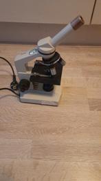 Microscoop, Gebruikt, Ophalen of Verzenden, Biologische microscoop