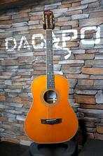 Homestead Dreadnought Slope Shoulder 12 Fret, Ophalen of Verzenden