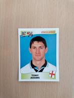 Panini Euro 96 #39 Tony Adams., Hobby en Vrije tijd, Stickers en Plaatjes, Ophalen of Verzenden, Zo goed als nieuw, Plaatje