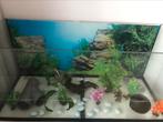 Aquarium, Dieren en Toebehoren, Vissen | Aquaria en Toebehoren, Ophalen, Gebruikt, Leeg aquarium