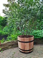 Nieuwe kuipen, terrasvijver, houten plantenbak, bloembak pot