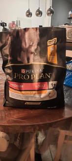 Hondenvoer proplan, Dieren en Toebehoren, Ophalen, Hond