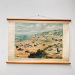 Schoolplaat Aan De Kust, Antiek en Kunst, Ophalen of Verzenden, Natuur en Biologie