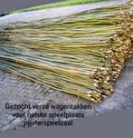 Gezocht gratis verse wilgentakken, Tuin en Terras, Ophalen of Verzenden