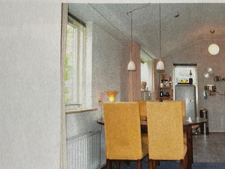 Hanglamp Hallogeen - Verstelbaar, Huis en Inrichting, Lampen | Hanglampen, Zo goed als nieuw, Minder dan 50 cm, Glas, Metaal, Ophalen of Verzenden