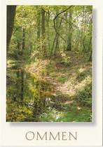 OMMEN Bosgezicht, Verzamelen, Ansichtkaarten | Nederland, Verzenden, 1980 tot heden, Ongelopen, Overijssel