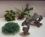 Aquarium accessoires, Ophalen of Verzenden, Leeg aquarium