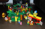 Duplo Dierentuin met 5 bouwplaten Duplo Zoo, Ophalen of Verzenden, Zo goed als nieuw, Losse stenen, Duplo