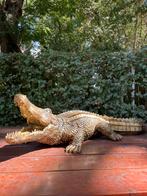 Krokodil antiek goud beeld vijver zwembad tuin, Tuin en Terras, Ophalen, Nieuw, Kunststof, Dierenbeeld