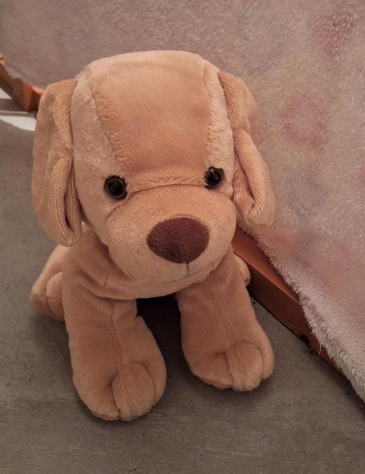 Beige hond, Kinderen en Baby's, Speelgoed | Knuffels en Pluche, Zo goed als nieuw, Hond, Ophalen of Verzenden