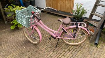 Meisjes fits beschikbaar voor biedingen