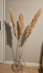 Grote vaas met pampas gras takken pluimen, Huis en Inrichting, Ophalen, Zo goed als nieuw
