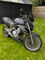 Kawasaki Er6n, Motoren, Handvatverwarming, 2 cilinders, 649 cc, Particulier