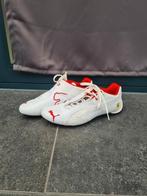 Puma Ferrari schoenen maat 42, Kleding | Heren, Puma, Wit, Ophalen of Verzenden, Zo goed als nieuw