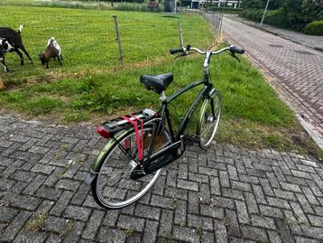 Sparta X bow 7 v  beschikbaar voor biedingen