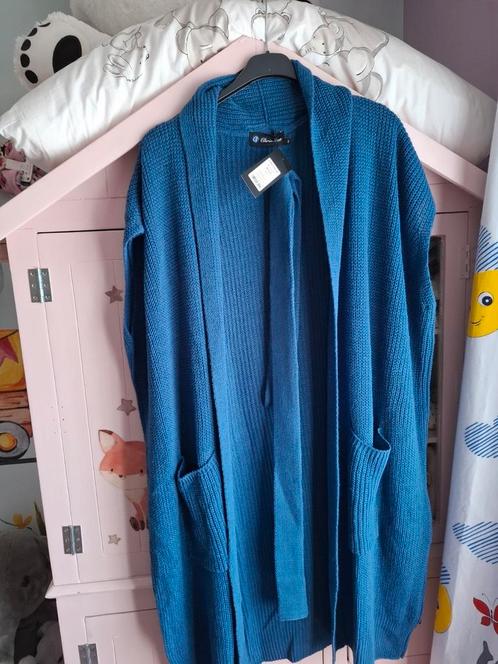 chrissize mouwloos vest maat 2, Kleding | Dames, Grote Maten, Nieuw, Trui of Vest, Ophalen of Verzenden