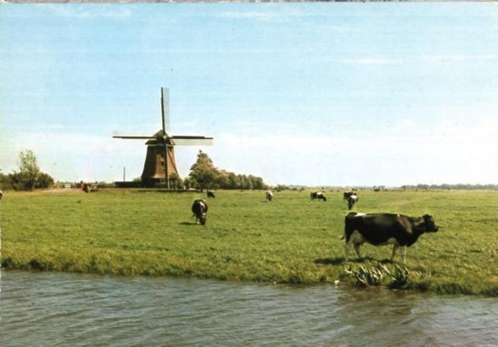 (NH463) Ansichtkaart Uitgeest Tweede Broeker Molen 1977, Verzamelen, Ansichtkaarten | Nederland, Ongelopen, Noord-Holland, 1960 tot 1980
