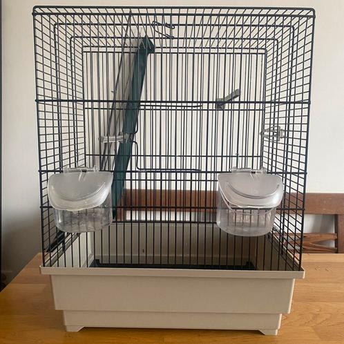 Nette vogelkooi model Katia, Dieren en Toebehoren, Vogels | Hokken en Kooien, Zo goed als nieuw, Vogelkooi, Metaal, Ophalen of Verzenden