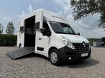 RENAULT MASTER 2.3L | STX | 2016  | HENGST | PAARDENWAGEN, Ophalen, Gebruikt, Overige materialen, Overige typen