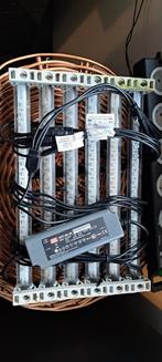 Wierenlamp voor refugium, Ophalen of Verzenden