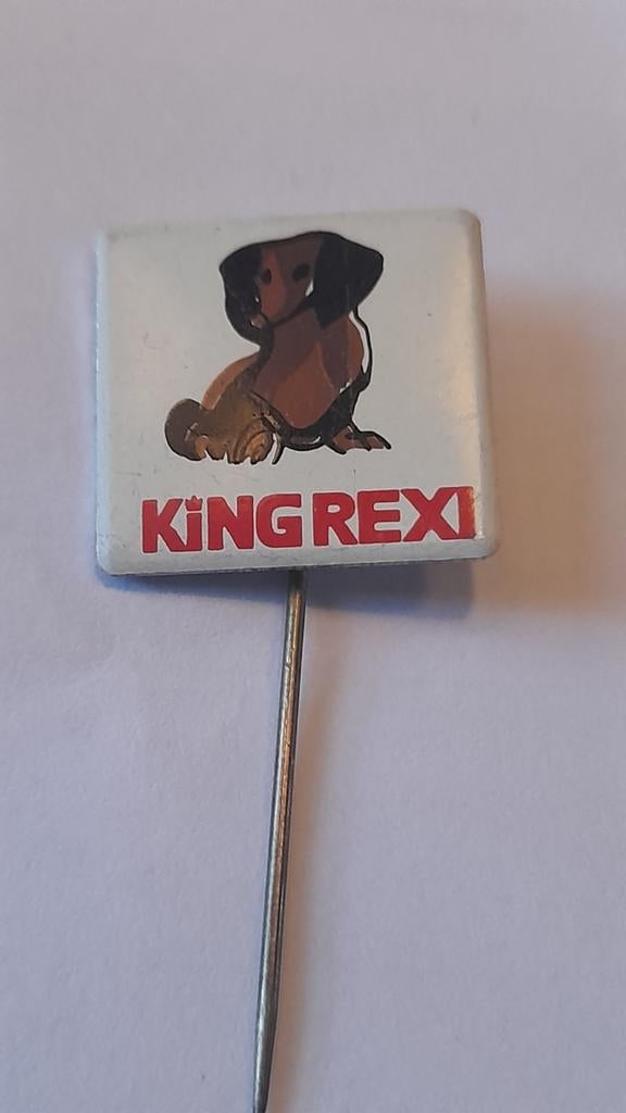 Speldje King rexi met teckel afbeelding., Ophalen of Verzenden