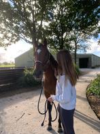 Bijrijd pony/paardje gezocht, Dieren en Toebehoren, Paarden en Pony's | Verzorgingsproducten, Ophalen of Verzenden