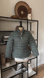BEAUMONT dons jas nieuw maat 38 navy groen, Kleding | Dames, Maat 38/40 (M), Beaumont, Nieuw, Ophalen of Verzenden