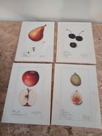 4 Luik Fruit Illustraties 38x28 cm canvas, Ophalen of Verzenden