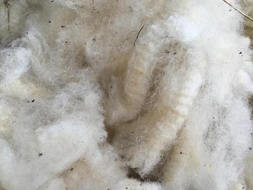 Prachtige schapenwol, diverse soorten en kleuren, Hobby en Vrije tijd, Spinnewielen en Spinnen, Zo goed als nieuw, Spinwol, Ophalen of Verzenden