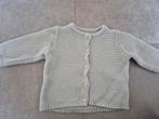 Vestje H&M maat 56, Kinderen en Baby's, Babykleding | Maat 56, H&M, Ophalen of Verzenden, Zo goed als nieuw, Truitje of Vestje