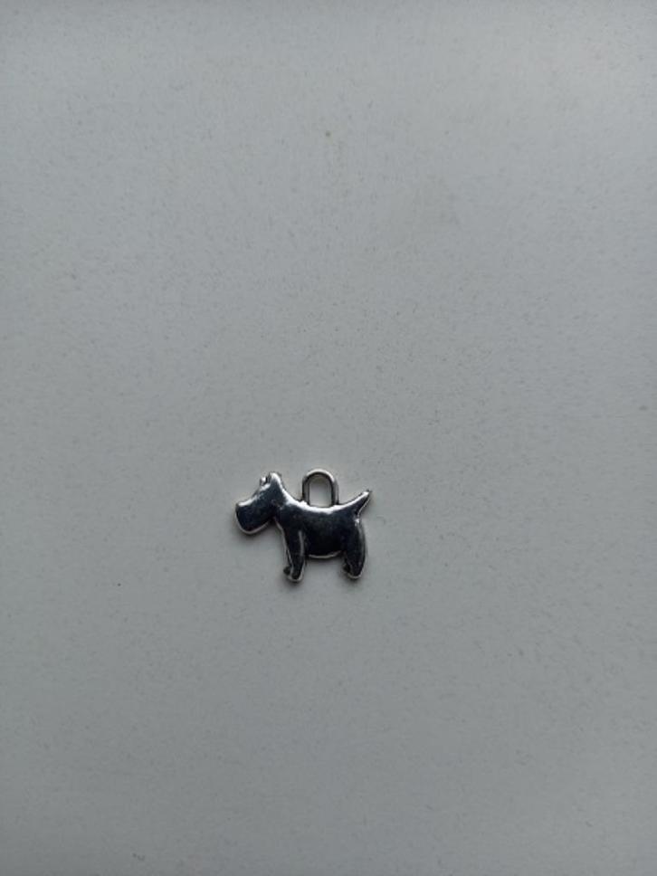 Kettinghanger hond schnauzer, Sieraden, Tassen en Uiterlijk, Kettinghangers, Nieuw, Overige materialen, Zilver, Dier, Verzenden