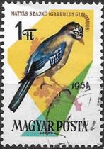 Hongarije 1961 mi.1811A vogel   GAAI, Postzegels en Munten, Postzegels | Europa | Hongarije, Verzenden, Gestempeld