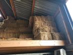 Hooibalen te koop, Dieren en Toebehoren, Dierenvoeding, Ophalen, Vee