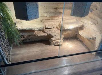 Terrarium 80 cm lang beschikbaar voor biedingen
