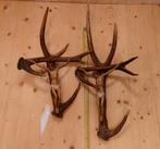 gewei met Jezus, Ophalen of Verzenden, Gebruikt