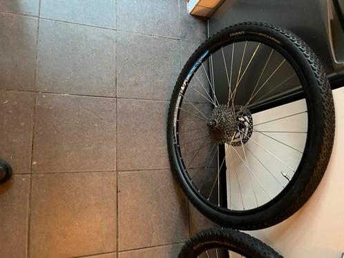 Alléén bellen: : 29" CSW voor- en achterwiel, Fietsen en Brommers, Fietsonderdelen, Gebruikt, Algemeen, Wiel, Ophalen