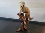 Opgezette marter op stuk hout (ca 55cm hoog), Verzamelen, Dierenverzamelingen, Ophalen, Gebruikt, Wild dier, Opgezet dier