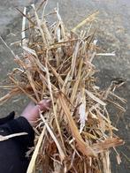 Tarwestro, Ophalen of Verzenden, Overige soorten